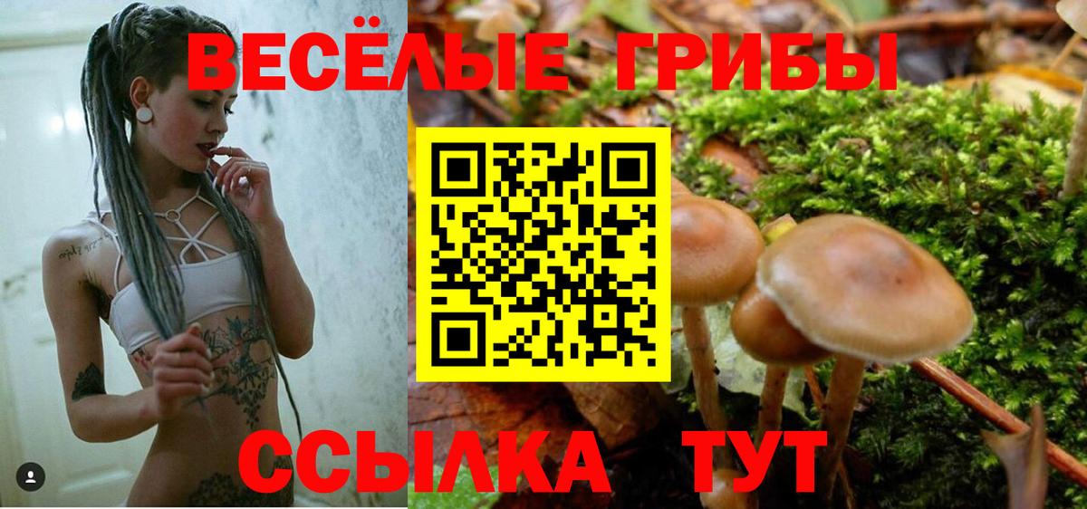 Новоуральск  Галлюциногенные грибы Psilocybine cubensis  Вход с VPN  Псилоцибиновые грибы Psilocybe 