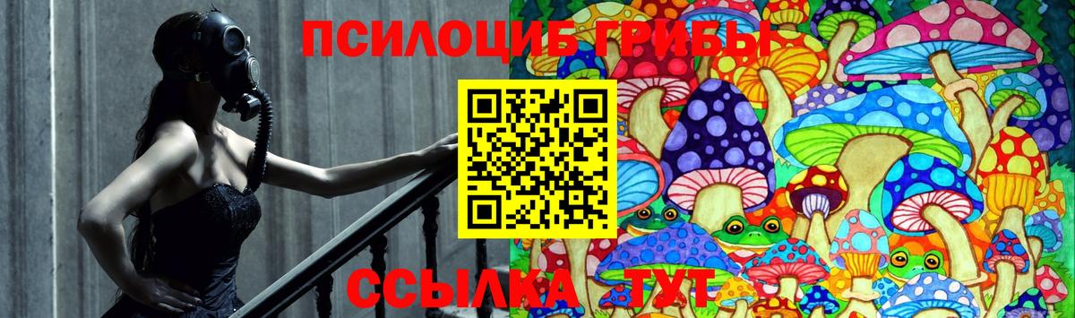 Псилоцибиновые грибы Cubensis Новоуральск